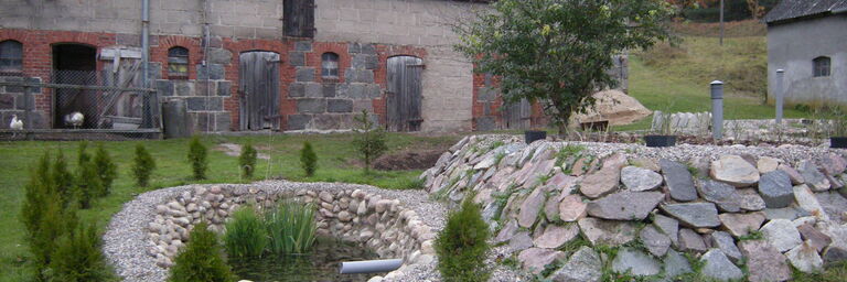 Wetland