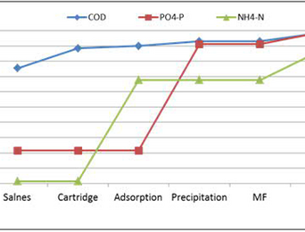 Dynamics of reducing nutrient concentrations