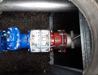 PICOGEN regulator