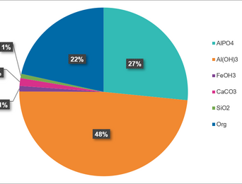 RAVITA chemical sludge composition