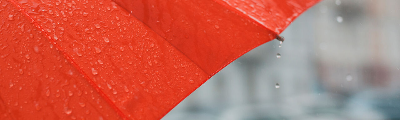 Umbrella